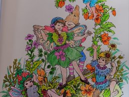 whatsapp bild 2024-02-20 um 12.40.49_f92d5efb